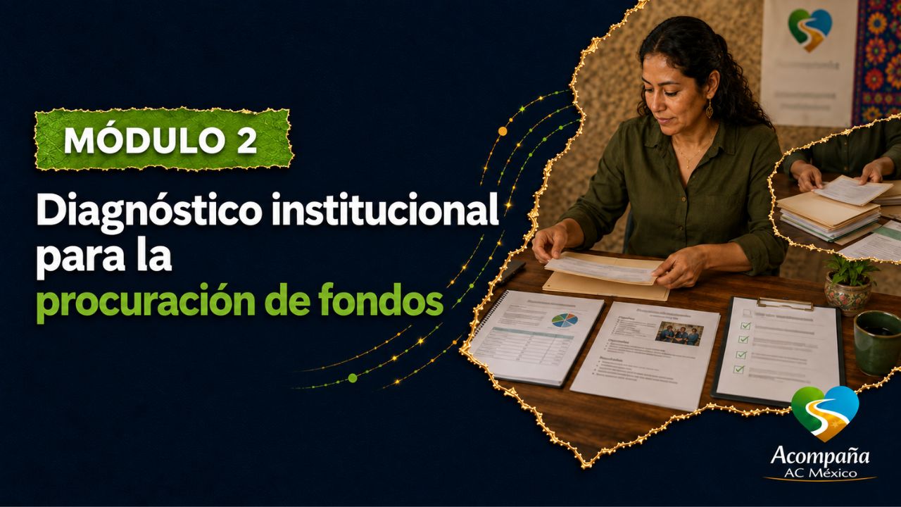 Módulo 2. Diagnóstico institucional para la procuración de fondos
