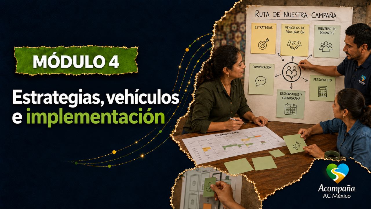 Estrategias, vehículos e implementación